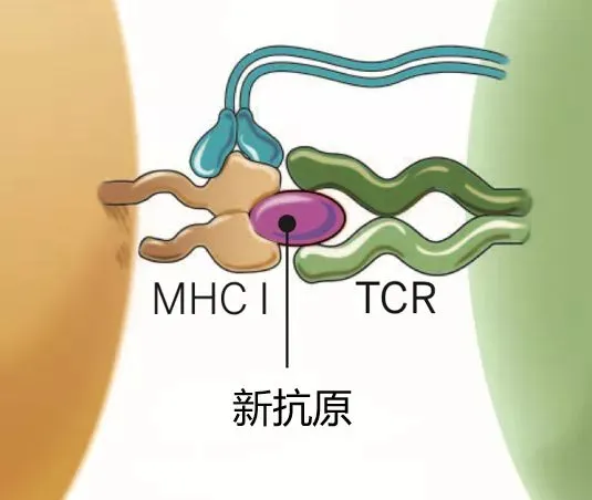 医药魔方 数十万医药人来这里查数据 找品种 找企业 抓机会