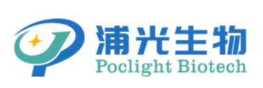 浦光生物-南京浦光生物科技有限公司-企业详情-InvestGO数据库-ByDrug-医药魔方数据库