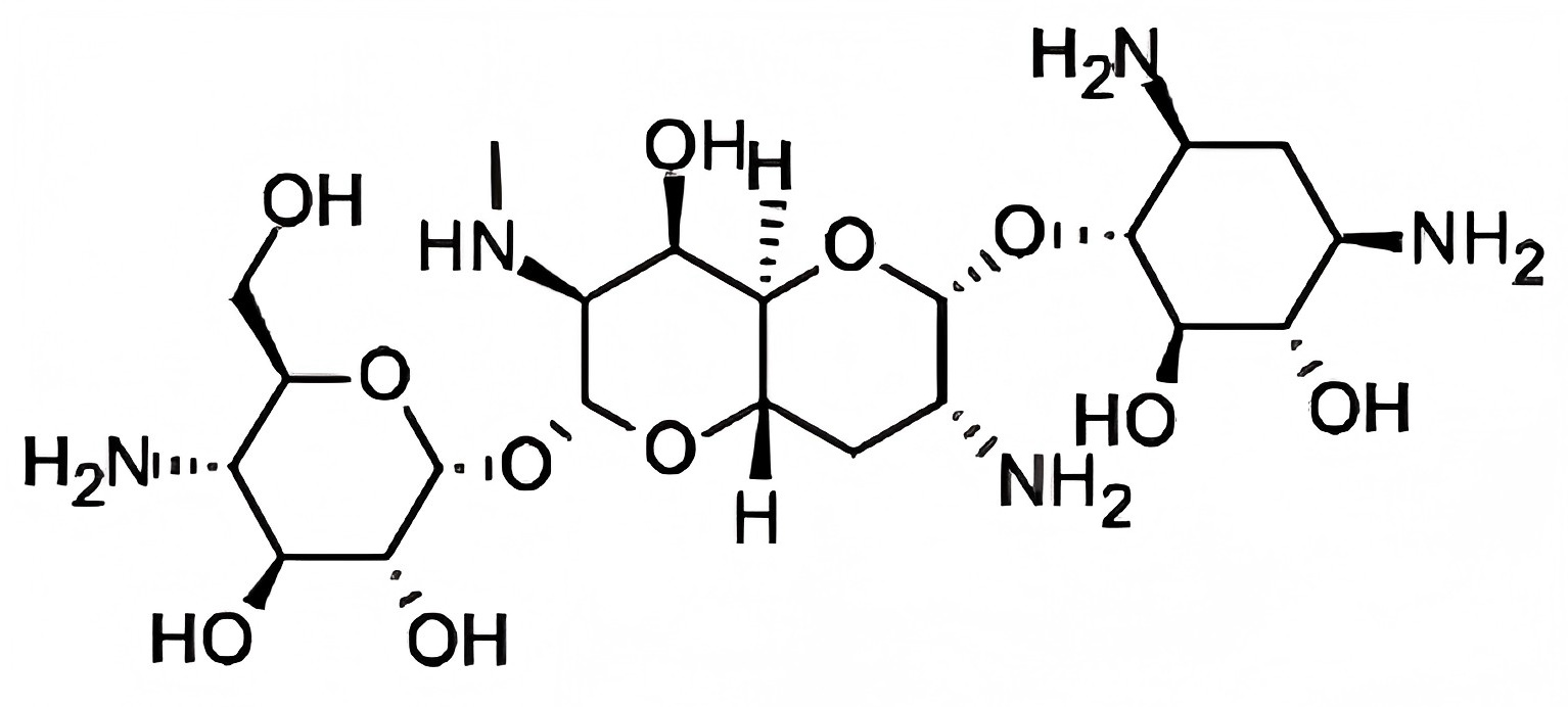 安普霉素apramycin-药品详情-NextPharma®数据库-ByDrug-医药魔方数据库